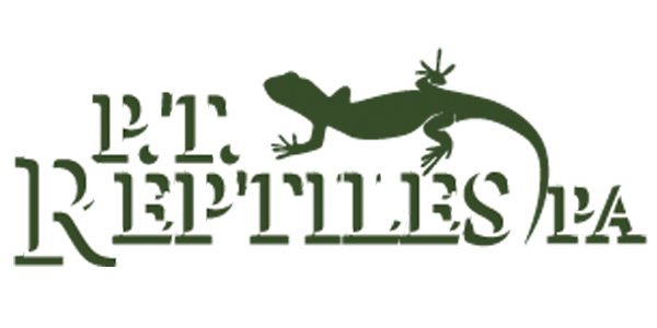 PT Reptiles Pa